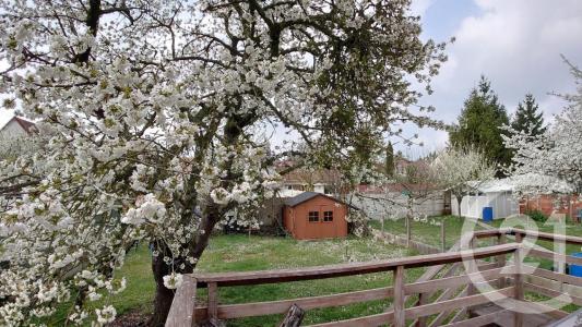 Beauchamp, Île-de-France 95250, Francia