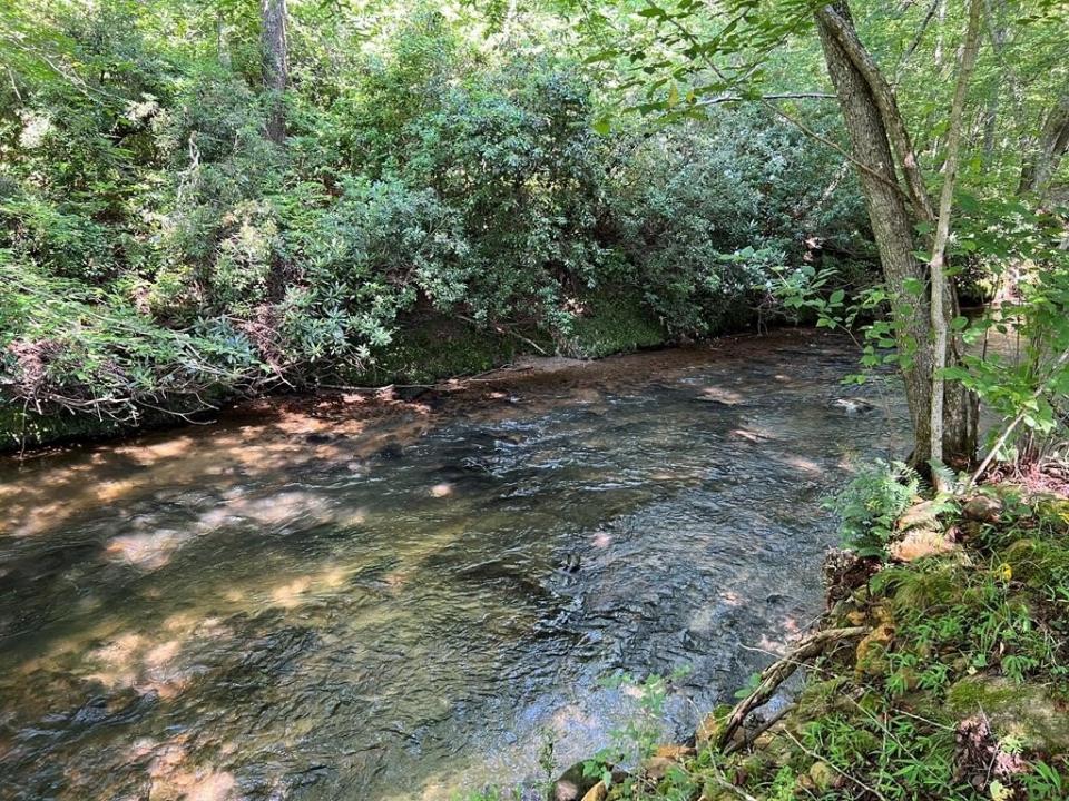 Lot 8 Old Birch Bend, Blairsville, Georgia 30512, Estados Unidos