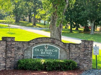 Lot 8 Old Birch Bend, Blairsville, Georgia 30512, Estados Unidos