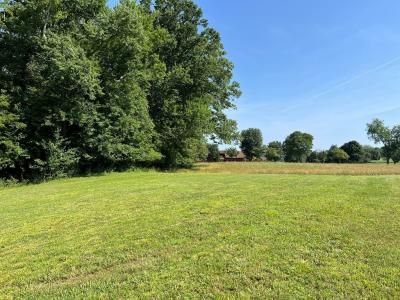 Lot 8 Old Birch Bend, Blairsville, Georgia 30512, Estados Unidos