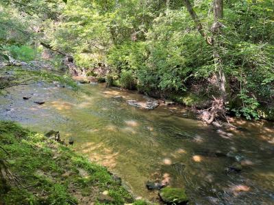 Lot 8 Old Birch Bend, Blairsville, Georgia 30512, Estados Unidos