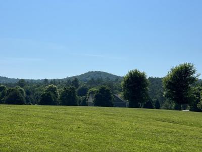 Lot 8 Old Birch Bend, Blairsville, Georgia 30512, Estados Unidos