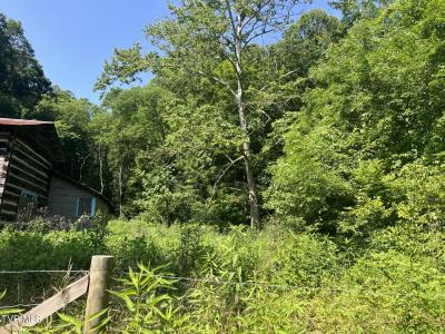 5742 Coeburn Road, Clintwood, Virginia 24228