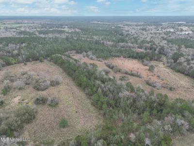 Highway 43 Parcel 1 And 2, Kiln, Mississippi 39556, Amerika Birleşik Devletleri