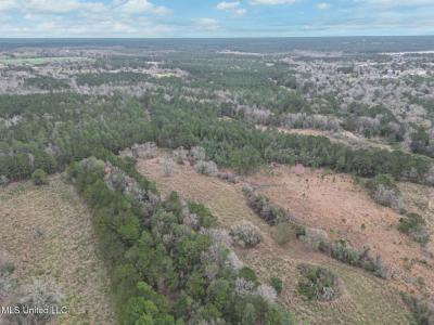 Highway 43 Parcel 1 And 2, Kiln, Mississippi 39556, Amerika Birleşik Devletleri