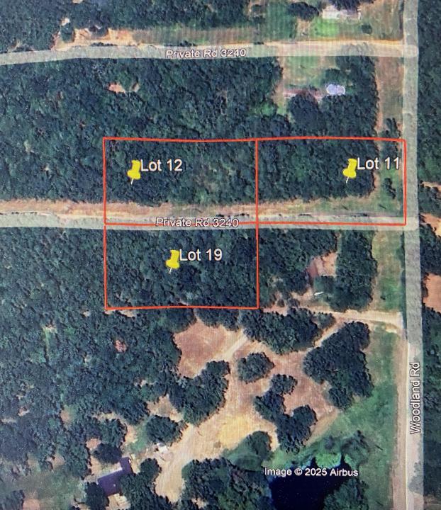 1 Acre +/- Off PR 3240 (LOT 19), Clarksville, Arkansas 72830, Stati Uniti
