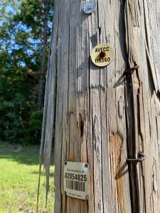 1 Acre +/- Off PR 3240 (LOT 19), Clarksville, Arkansas 72830, Stati Uniti