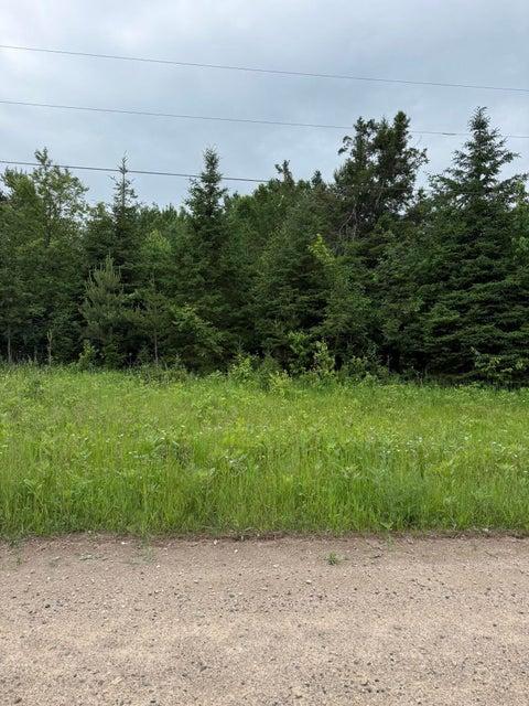 0000 W Country Road, Trout Lake, Michigan 49793