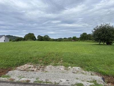 Lot 2 Elihu Cabin Hollow Rd, Somerset, Kentucky 42501, USA