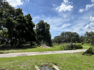 411 Alibrandi Road, Leesburg, Florida 34748, Estados Unidos