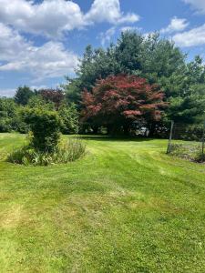185 Chimney Hill Road, Wallingford, 康乃迪克州 06492, 美国