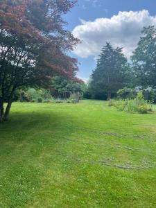 185 Chimney Hill Road, Wallingford, 康乃迪克州 06492, 美国
