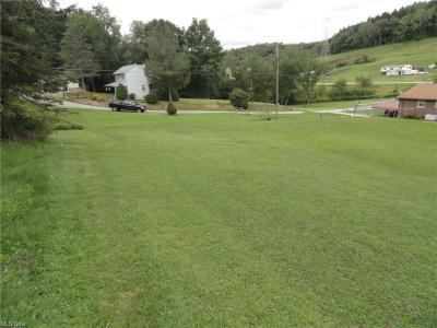 Orchard Road, Chester, West Virginia 26034