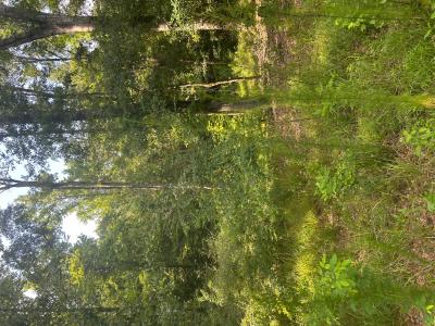 1187 Central Plank Rd., Wetumpka, Alabama 36092, Stati Uniti