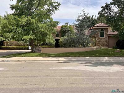 1412 W Circle Diamond Drive, Roswell, NM 88201, USA