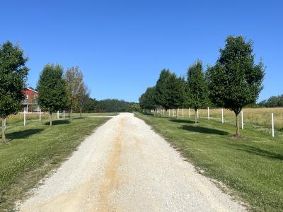 8945 Highway A, Chillicothe, Missouri 64601, Estados Unidos