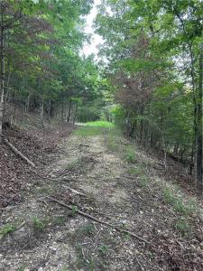 CR 1524 5.77 Acres, Eureka Springs, Arkansas 72632