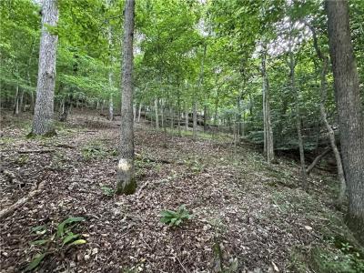 CR 1524 5.77 Acres, Eureka Springs, Arkansas 72632