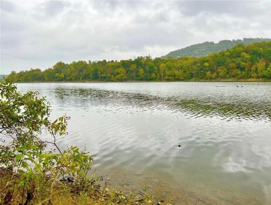 Sailboat Dr, Lot 8, Holiday Island, 阿肯色州 72631, 美国