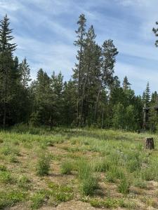 203 Pintail Place 7, Donnelly, Idaho 83615, Estados Unidos