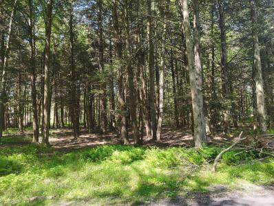 George Dr Drive, Pocono Lake, Pennsylvania 18347, Estados Unidos