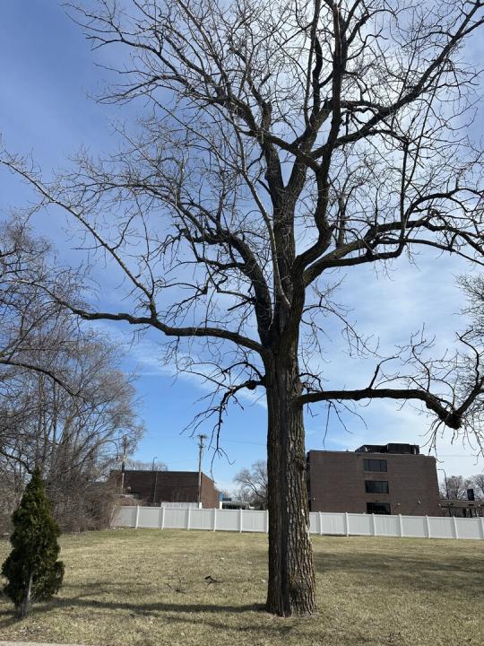 8003 S Oconto Avenue, Bridgeview, 伊利諾州 60455, 美國