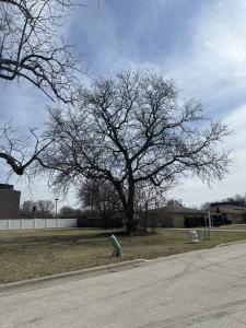 8003 S Oconto Avenue, Bridgeview, 伊利諾州 60455, 美國