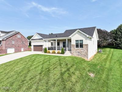 150 Naples Lane, Greeneville, Tennessee 37745, HOA KỲ