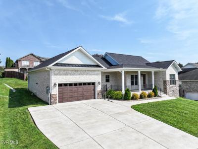 150 Naples Lane, Greeneville, Tennessee 37745, HOA KỲ