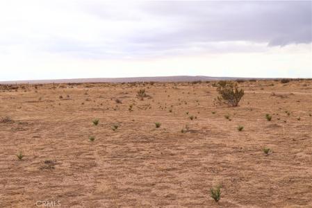 0 Forest Boulevard, California City, كاليفورنيا 93505, الولايات المتحدة