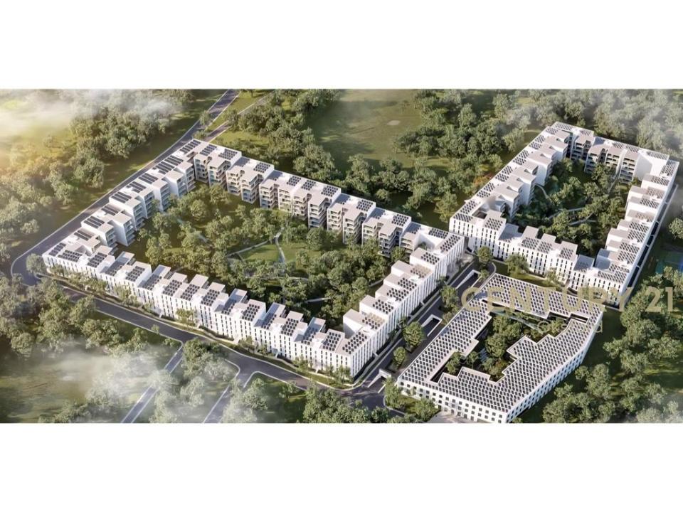 Sauk i Ri, Tirana, Albânia