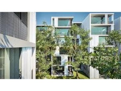 Sauk i Ri, Tirana, Albânia