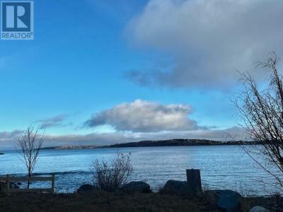 111 COLEY'S POINT SOUTH, Bay Roberts, 紐芬蘭及拉布拉多省 A0A 1X0, 加拿大