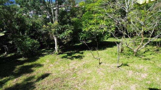 Turrialba Turrialba, Cartago 30501, Costa Rica