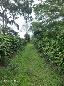 San Marcos, Carazo 00001, Nicaragua