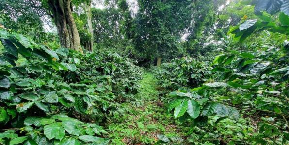 San Marcos, Carazo 00001, Nicaragua