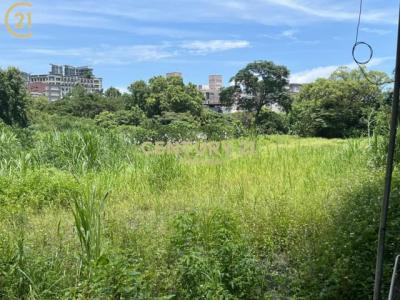 五峰段, 礁溪鄉, 宜蘭縣 262, 台灣