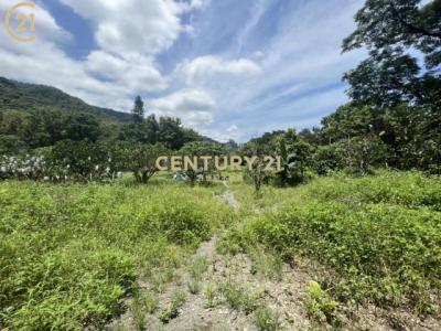 五峰段, 礁溪鄉, 宜蘭縣 262, 台灣
