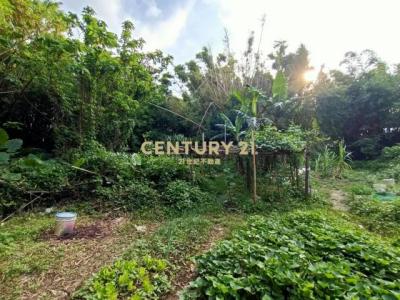 新興段, 八德區, 桃園 334, 台湾