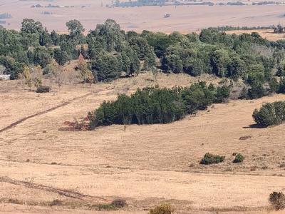 Machadodorp, Mpumalanga, South Africa