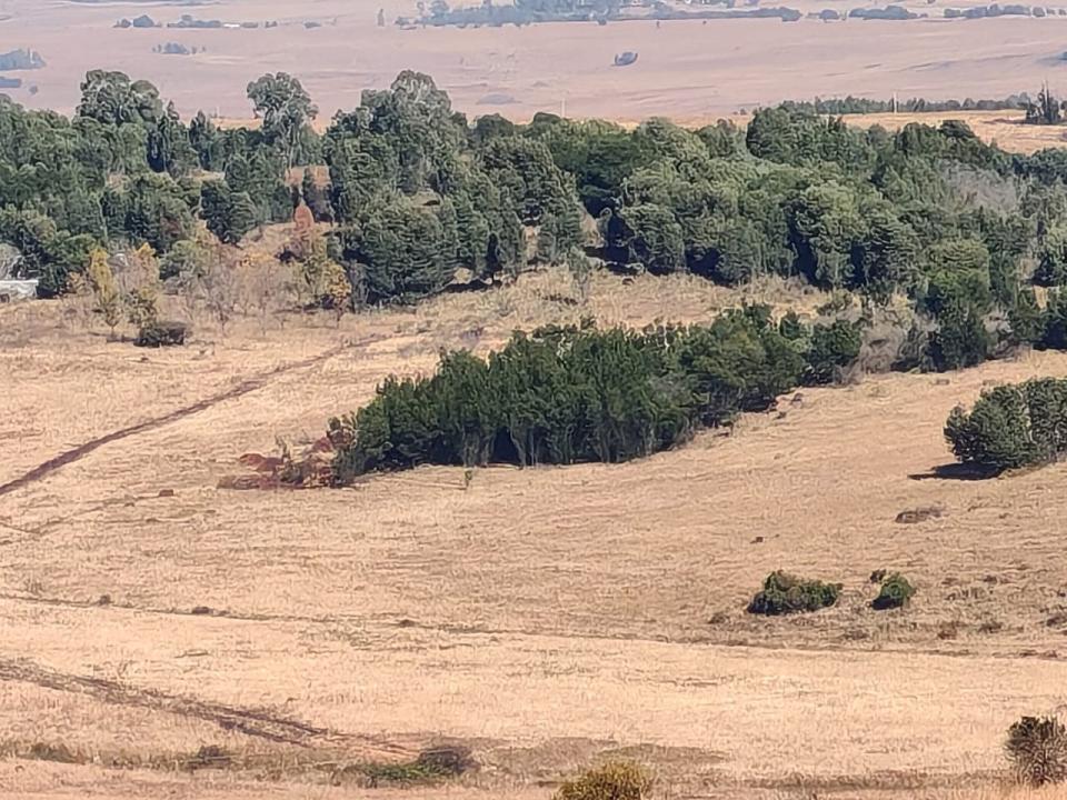 Machadodorp, Mpumalanga, Sudáfrica