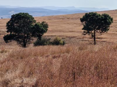 Machadodorp, Mpumalanga, Sudáfrica