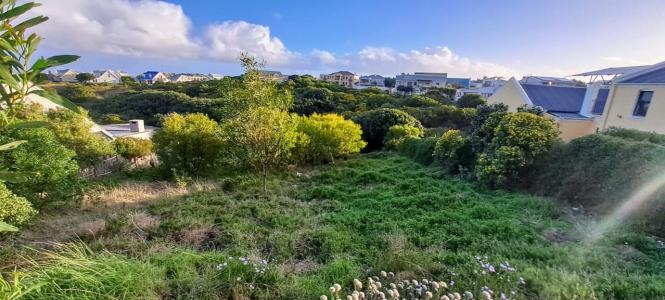 Hermanus, Western Cape, דרום אפריקה 