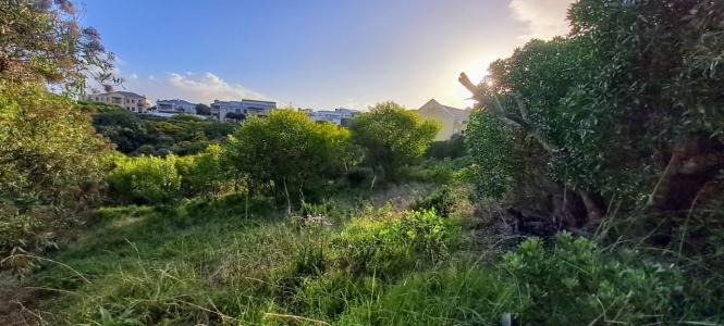 Hermanus, Western Cape, South Africa