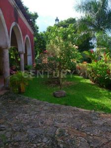 Tixkokob, Yucatan 97470, Mexico