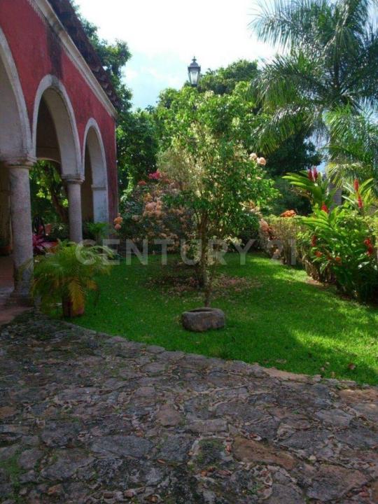 Tixkokob, Yucatan 97470, Mexique