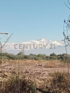 LAPRIDA Y VIDELA CASTILLO 0, Maipú, Mendoza 5515, Argentina
