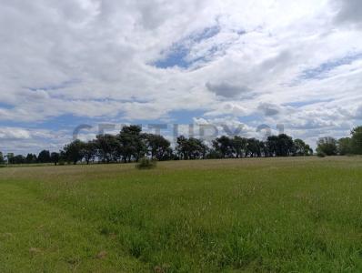 RP 192 KM 11.6, Luján, GBA Oeste 6700, Argentina