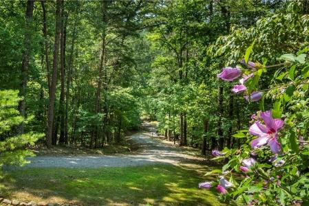 1061 Banks Road, Ellijay, Georgia 30540, USA
