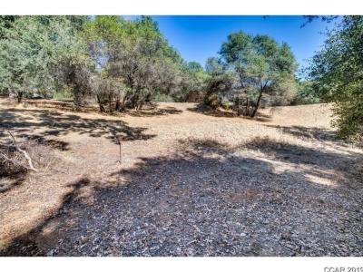 336 Catalpa Lane, Angels Camp, カリフォルニア 95222, アメリカ合衆国